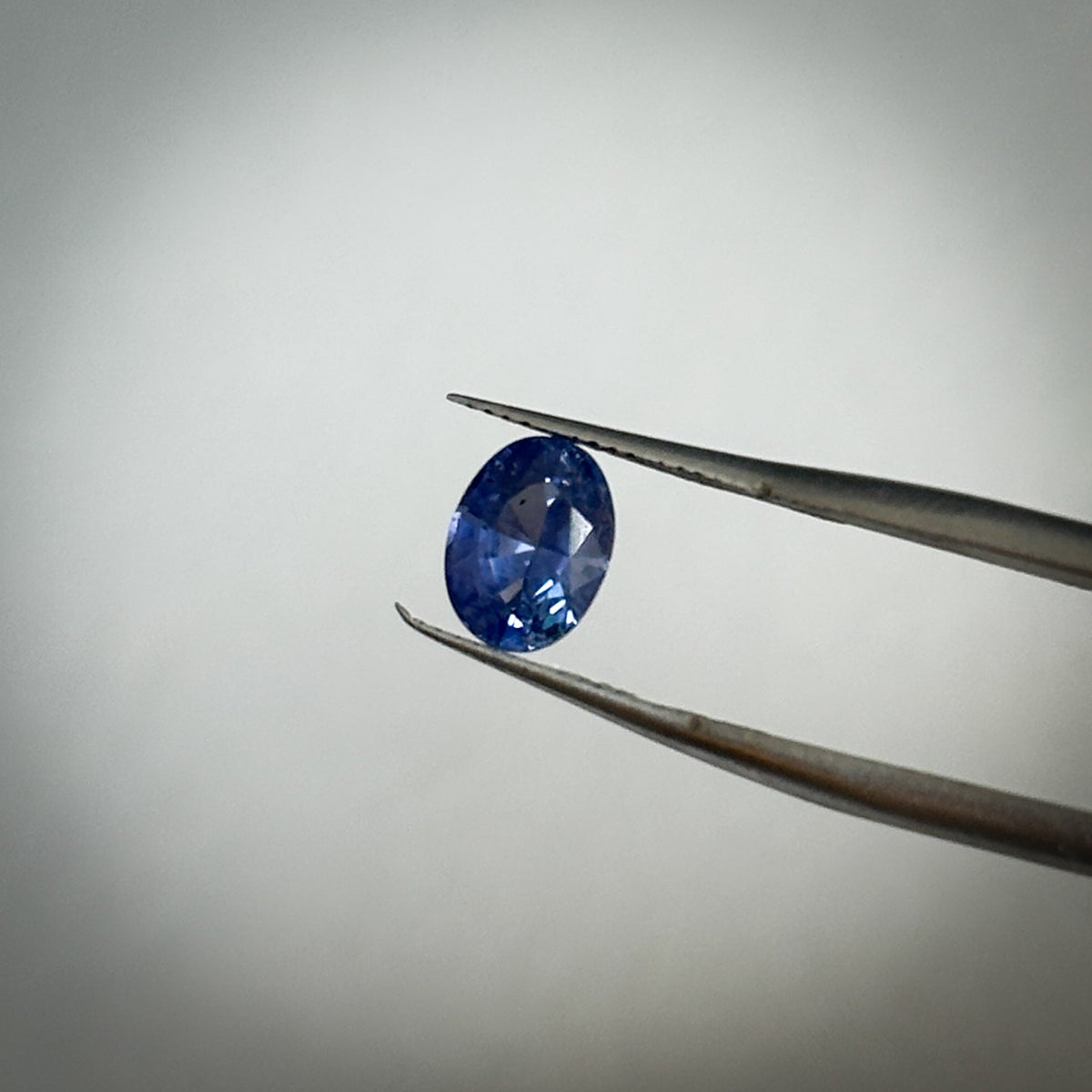 small oval cut medium toned natural blue sapphire gemstone held in tweezers 