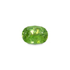 10.63 Ct Ludwigite Peridot