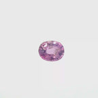 1.68 Ct Pink Sapphire