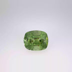 12.78 Ct Ludwigite Peridot
